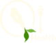 Qi Health Pte Ltd
